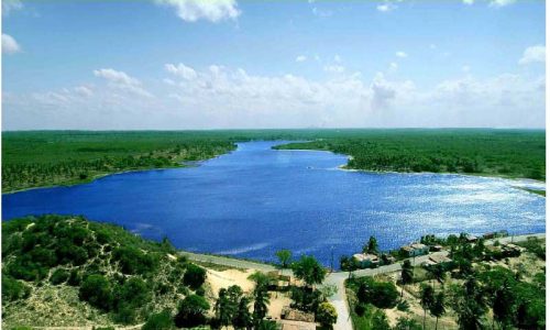 Lagoa do coelhocase study Spain Lawyer